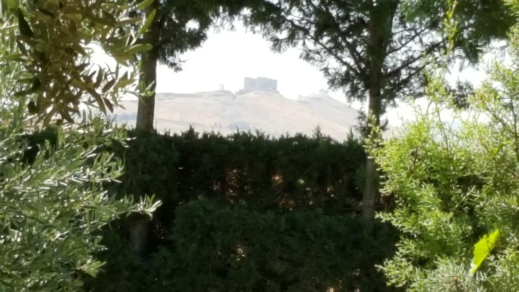 La Habanerita Villa Consuegra Esterno foto